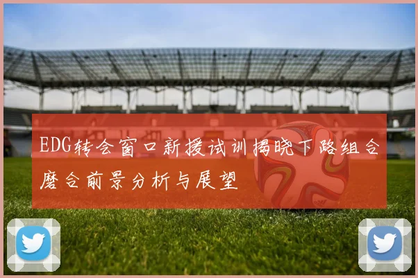 EDG转会窗口新援试训揭晓下路组合磨合前景分析与展望